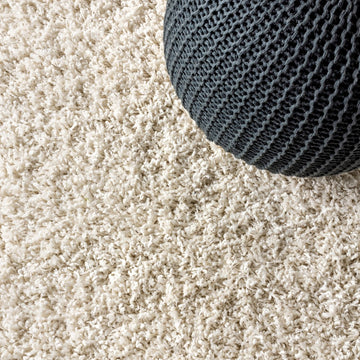 Mercer Shag Plush Area Rug